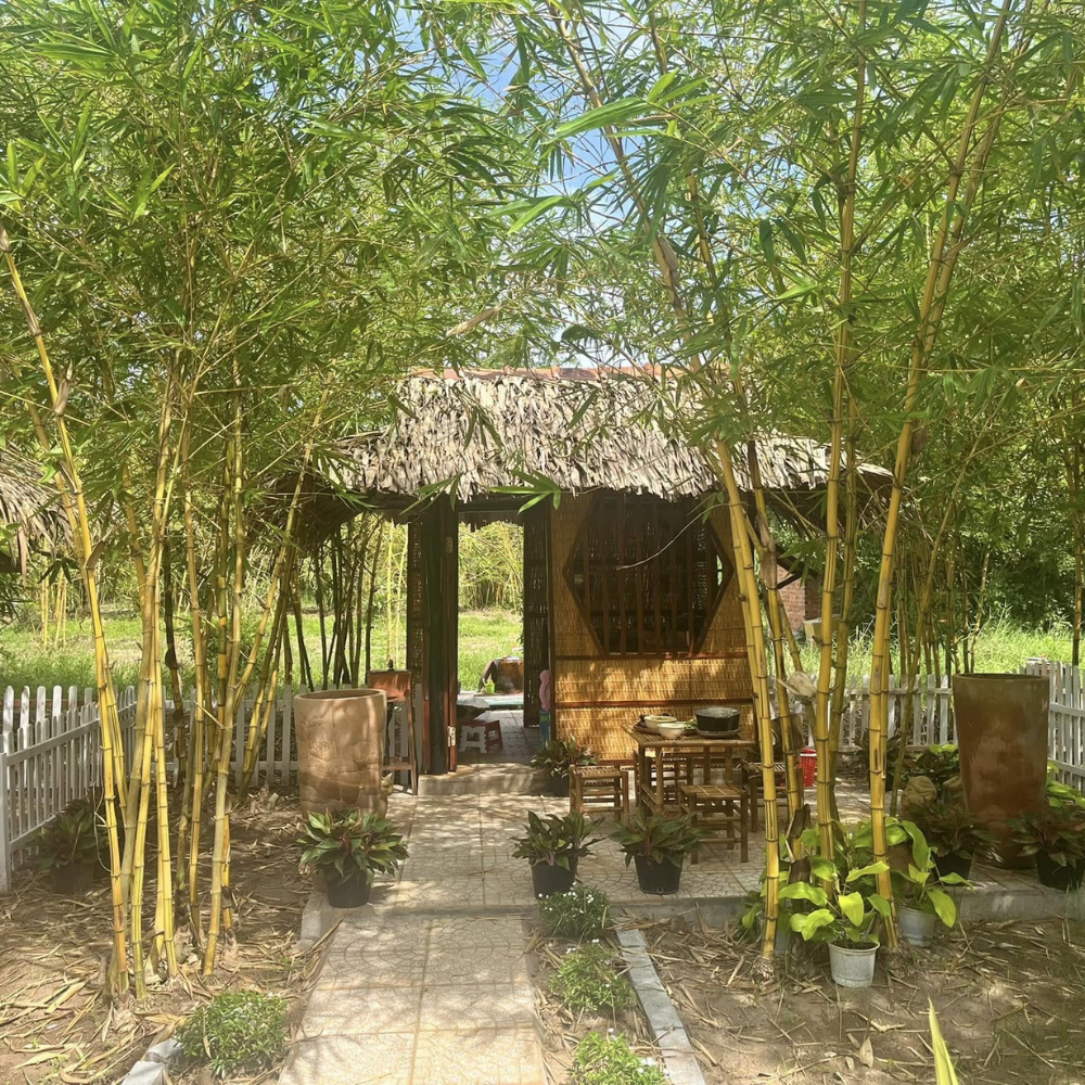 Những Trải Nghiệm Thú Vị Ở Khu Du Lịch Văn Hóa Phương Nam